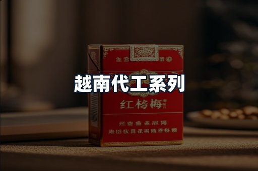 越南代工系列